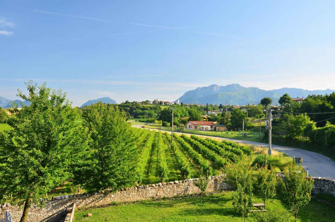 Agriturismo Borgo Floreani Vendoglio Kültér fotó